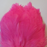 ������� ���� Hen feathers  �� �������